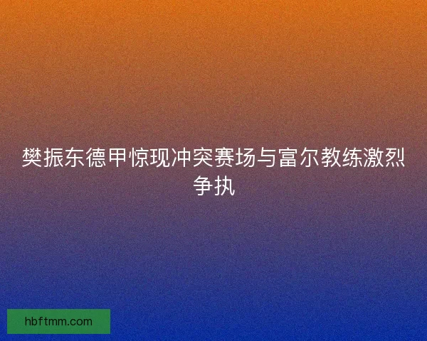 樊振东德甲惊现冲突赛场与富尔教练激烈争执